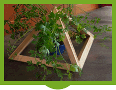 Pyramide pour la conservation de la nourriture